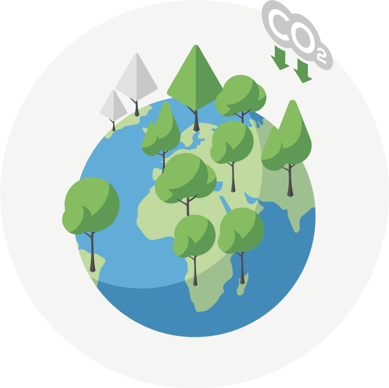 Un puits de carbone pour le climat